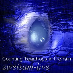 Counting Teardrops in the rain_Zweisam Live _2017.jpg